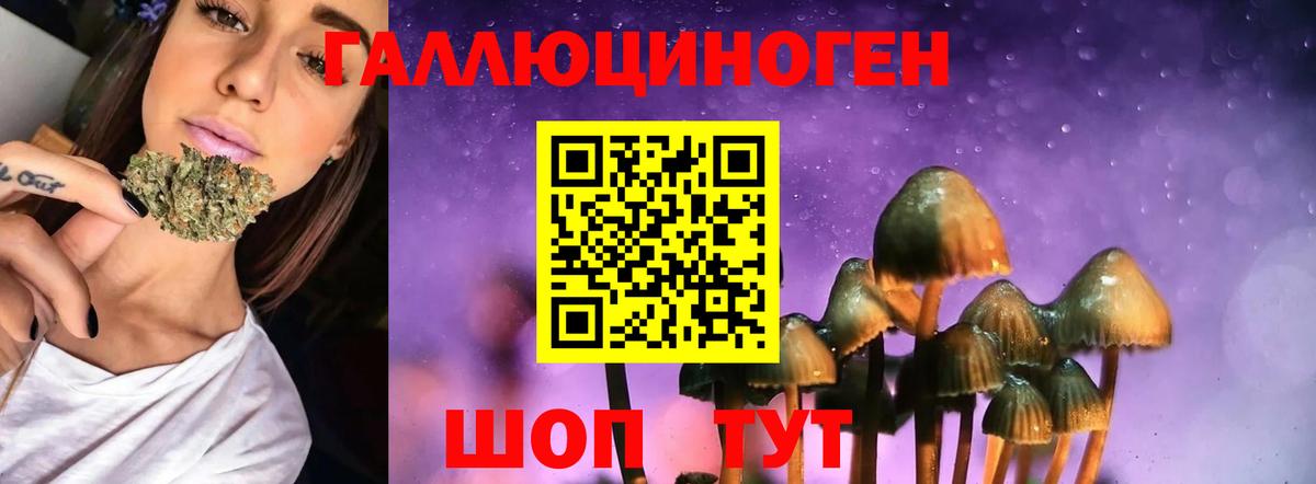Псилоцибиновые грибы мицелий Троицк